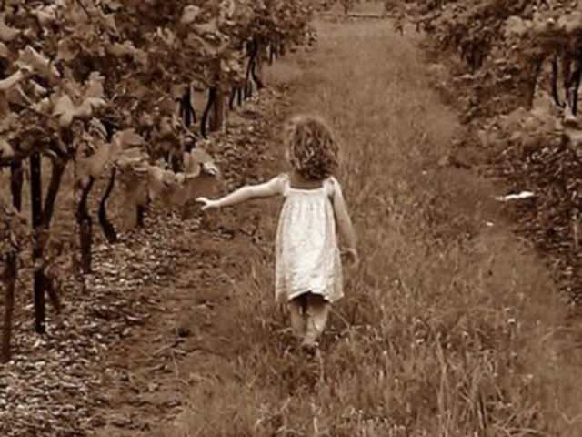 Little girl in a white dress walking in a vineyard
